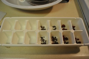 FillingTrays